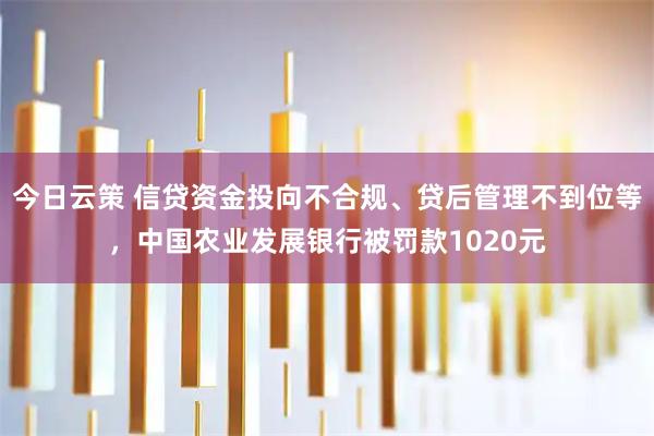 今日云策 信贷资金投向不合规、贷后管理不到位等，中国农业发展银行被罚款1020元
